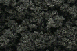 Clump Foliage(TM) - 3 Quarts  2.8L -- Conifer Green-1