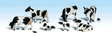 Holstein Cows - Scenic Accents(R) -- pkg(6)