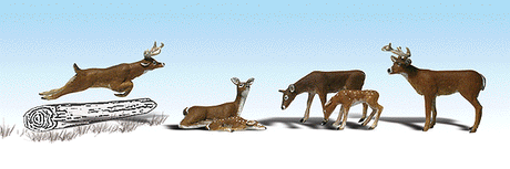 Scenic Accents(R) Animals -- White-Tail Deer pkg(6)