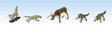 Wildlife Standoof - Scenic Accents(R)