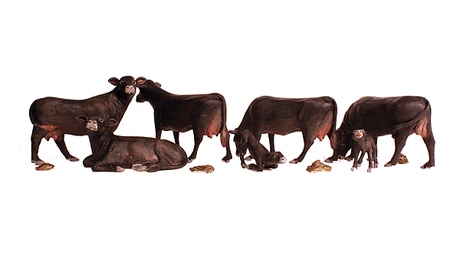 Black Angus Cows - Scenic Accents(R) -- pkg(5)