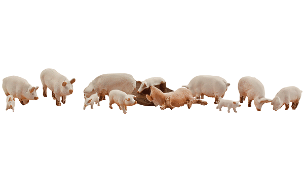 Yorkshire Pigs - Scenic Accents(R) -- pkg(12)