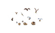 Birds and Nests - Scenic Accents(R) -- 15 Pieces plus 3 Nests
