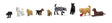 Dogs & Cat - Scenic Accents(R) -- 8 Dogs, 1 Cat