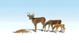 Scenic Accents(R) Figures -- Buck & Family