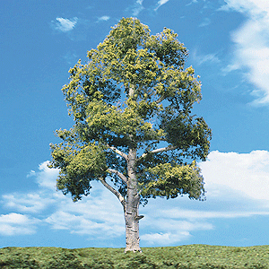 Woodland Classic Trees(R) Ready Made - Waters Edge -- 2 to 3"  5.1 to 7.6cm Tall pkg(4)