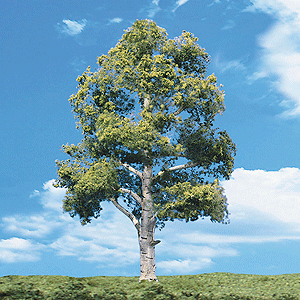 Woodland Classic Trees(R) Ready Made - Waters Edge -- 3 to 4"  7.6 to 10.1cm Tall pkg(3)
