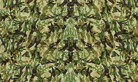 PineCar(R) Body Skin(TM) Custom Transfers -- Camouflage