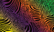 PineCar(R) Body Skin(TM) Custom Transfers -- Safari