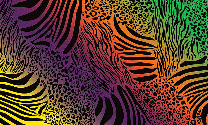 PineCar(R) Body Skin(TM) Custom Transfers -- Safari