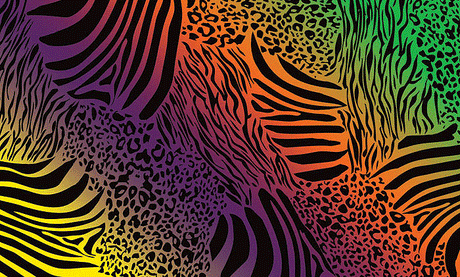 PineCar(R) Body Skin(TM) Custom Transfers -- Safari