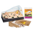 Pyramid - Scene-A-Rama(TM) -- Kit