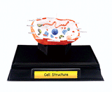 Scene-A-Rama Classroom Packs(TM) -- Cell Structure-1
