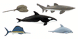 Scene-A-Rama(R) -- Marine Life Figures pkg(5)