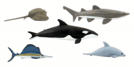Scene-A-Rama(R) -- Marine Life Figures pkg(5)