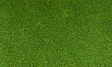 Blended Turf - 54 Cubic Inches  885 Cubic Centimeters -- Green-1