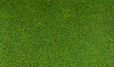 Blended Turf - 54 Cubic Inches  885 Cubic Centimeters -- Green-1