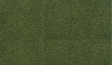 ReadyGrass(R) Mat Roll - 25 x 33"  63.5 x 83.8cm -- Forest Grass