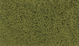 Foliage - 90.7 Square Inches  585 Square cm -- Light Green-1