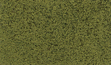 Foliage - 90.7 Square Inches  585 Square cm -- Light Green-1