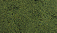 Foliage - 90.7 Square Inches  585 Square cm -- Medium Green-1