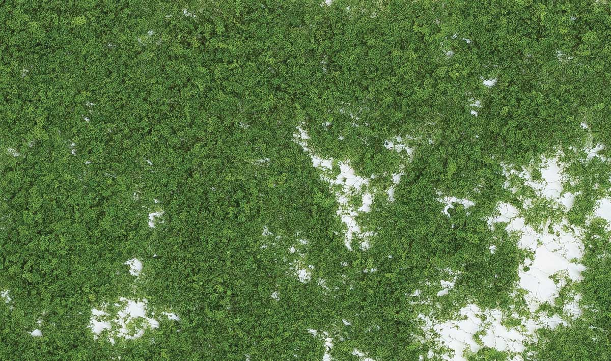 Foliage - 90.7 Square Inches  585 Square cm -- Medium Green-2