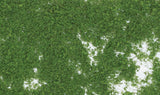 Foliage - 90.7 Square Inches  585 Square cm -- Medium Green-2