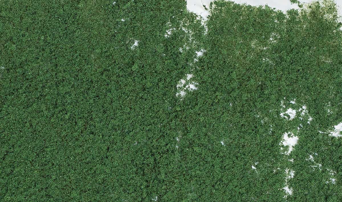 Foliage - 90.7 Square Inches  585 Square cm -- Dark Green-2