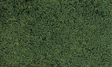 Foliage - 90.7 Square Inches  585 Square cm -- Dark Green-1