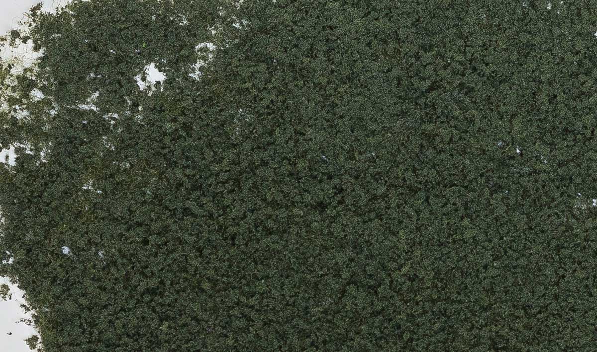 Foliage - 90.7 Square Inches  585 Square cm -- Conifer Green-2