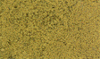 Foliage - 90.7 Square Inches  585 Square cm -- Early Fall Colors-1