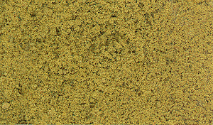 Foliage - 90.7 Square Inches  585 Square cm -- Early Fall Colors-1