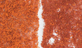Foliage - 90.7 Square Inches  585 Square cm -- Late Fall Colors-2