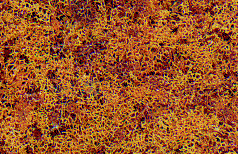 Foliage - 90.7 Square Inches  585 Square cm -- Late Fall Colors-1