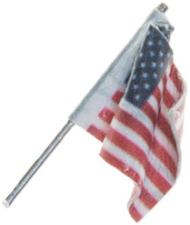 Wall-Mount U.S. Flag - Just Plug(TM) -- Small - 1/2"  1.3cm