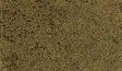 Coarse Turf -- Earth-1
