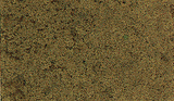 Coarse Turf -- Earth-1