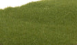 Static Grass - Field System -- Dark Green Fibers - 1/16"  2mm