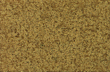 Coarse Turf -- Yellow Grass-1