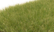 Static Grass - Field System -- Medium Green - 1/4"  7mm Fibers