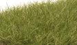 Static Grass - Field System -- Medium Green 1/2"  12mm Fibers