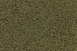 Coarse Turf -- Burnt Grass-1