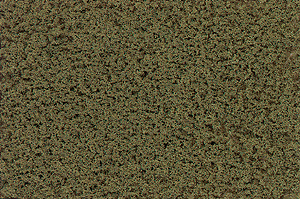 Coarse Turf -- Burnt Grass-1