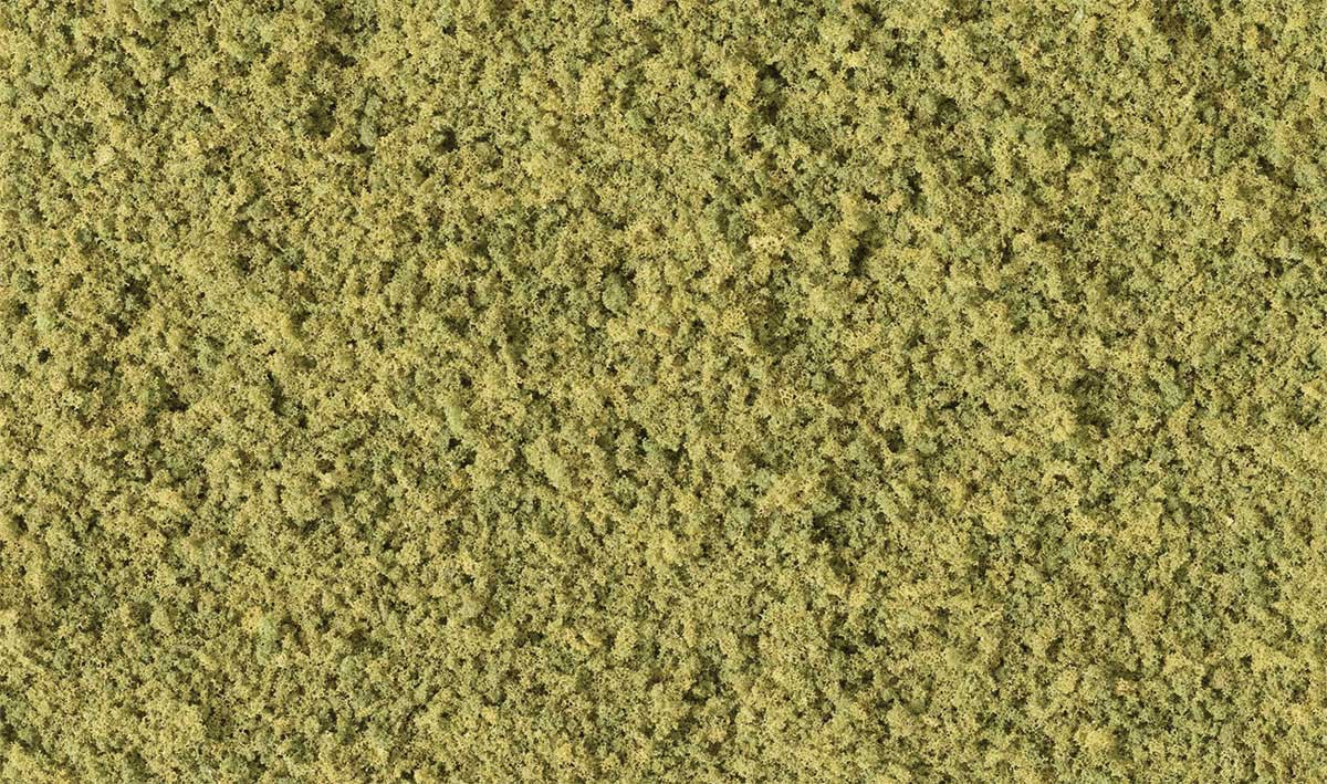 Coarse Turf -- Burnt Grass-2