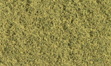Coarse Turf -- Burnt Grass-2
