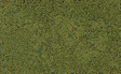 Coarse Turf -- Light Green-1