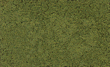Coarse Turf -- Light Green-1