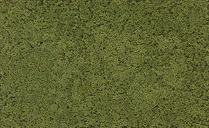 Coarse Turf -- Light Green-1