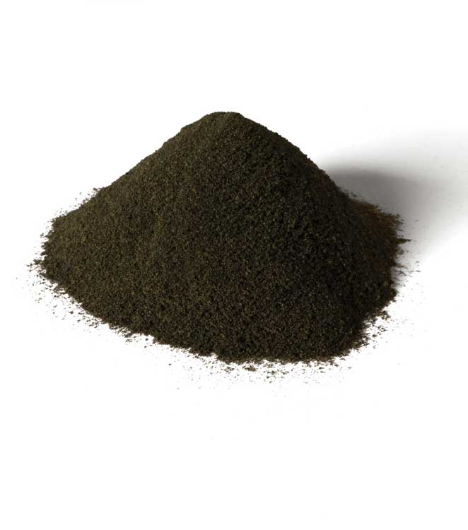 Base Layer - All Game Terrain -- Soil-2