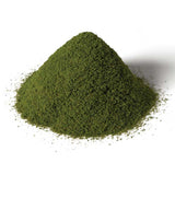 Grass - All Game Terrain -- Summer-2